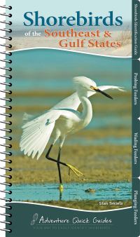 Book Cover for Shorebirds of the Southeast & Gulf States by Stan Tekiela