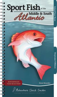 Book Cover for Sport Fish of the Middle & South Atlantic by Dave Bosanko