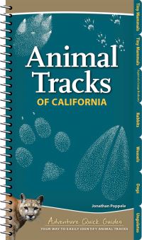 Book Cover for Animal Tracks of California by Jonathan Poppele