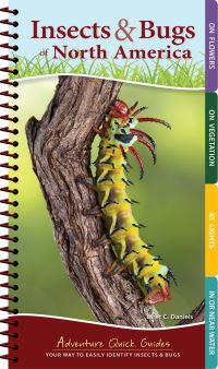 Book Cover for Insects & Bugs of North America by Jaret C Daniels