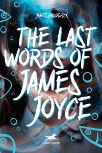 Book Cover for The Last Words of James Joyce by James F Broderick