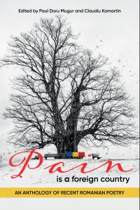 Book Cover for Pain Is a Foreign Country by Paul Doru Mugur