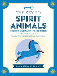 Book Cover for The Key to Spirit Animals by Dawn Baumann Brunke