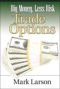 Book Cover for Big Money, Less Risk by Mark L Larson