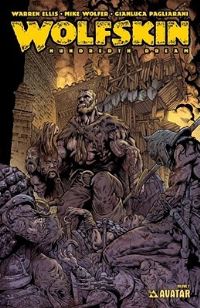 Book Cover for Hundredth Dream by Warren Ellis, Mike Wolfer