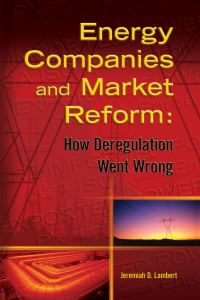 Book Cover for Energy Companies and Market Reform by Jeremiah D Lambert