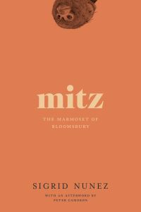 Book Cover for Mitz by Sigrid Nunez