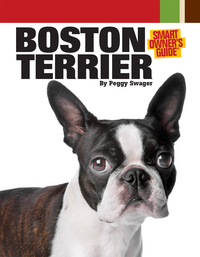 Book Cover for Boston Terrier by Peggy O Swager