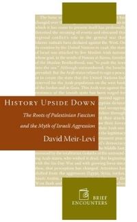 Book Cover for History Upside Down by David MeirLevi