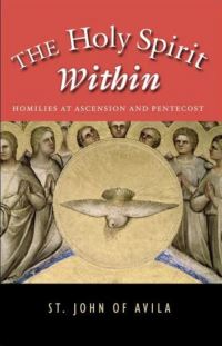 Book Cover for The Holy Spirit Within by John