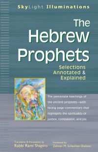 Book Cover for The Hebrew Prophets by Rami M Shapiro