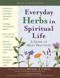 Book Cover for Everyday Herbs in Spiritual Life by Michael J Caduto