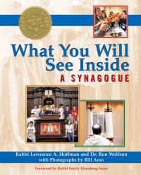 Book Cover for What You Will See Inside a Synagogue by Lawrence A. Hoffman, Ron Wolfson