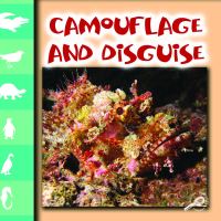 Book Cover for Camouflage and Disguise by Lynn Stone