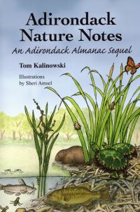 Book Cover for Adirondack Nature Notes by Tom Kalinowski