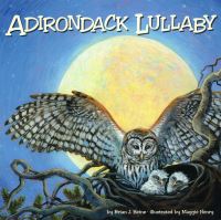 Book Cover for Adirondack Lullaby by Brian J Heinz