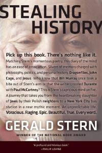 Book Cover for Stealing History by Gerald Stern