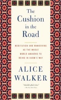 Book Cover for The Cushion in the Road by Alice Walker