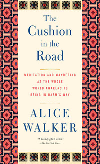 Book Cover for The Cushion in the Road by Alice Walker