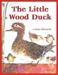 Book Cover for The Little Wood Duck by Brian Wildsmith