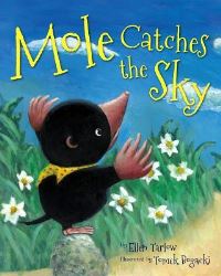 Book Cover for Mole Catches the Sky by Ellen Tarlow
