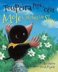 Book Cover for Mole Catches the Sky by Ellen Tarlow
