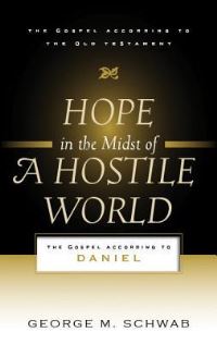 Book Cover for Hope in the Midst of a Hostile World by George M Schwab