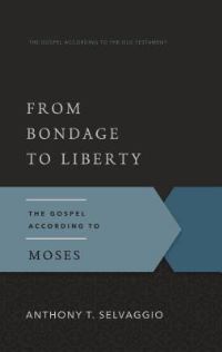 Book Cover for From Bondage to Liberty by Anthony T Selvaggio