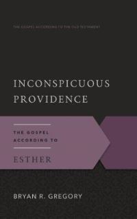 Book Cover for Inconspicuous Providence by Bryan R Gregory