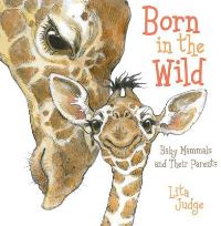 Book Cover for Born in the Wild by Lita Judge