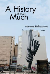 Book Cover for A History of Too Much by Adrianne Kalfopoulou