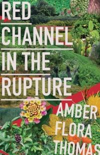 Book Cover for Red Channel in the Rupture by Amber Flora Thomas