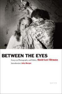 Book Cover for Between the Eyes by David Levi Strauss