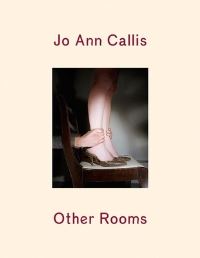 Book Cover for Other Rooms by Francine Prose