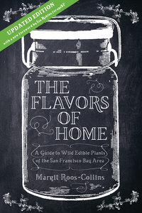 Book Cover for The Flavors of Home by Margit RoosCollins
