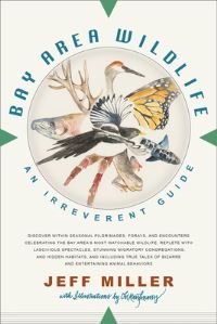 Book Cover for Bay Area Wildlife by Jeff Miller