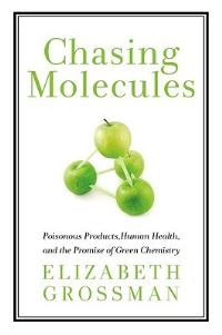 Book Cover for Chasing Molecules by Elizabeth Grossman