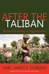Book Cover for After the Taliban by James Dobbins