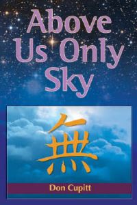 Book Cover for Above Us Only Sky by Don Cupitt