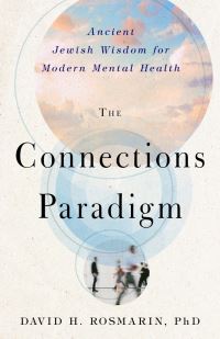 Book Cover for The Connections Paradigm by David H Rosmarin