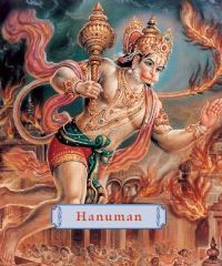 Book Cover for Hanuman by Joshua Greene