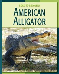Book Cover for American Alligator by Susan H Gray