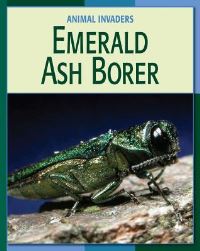 Book Cover for Emerald Ash Borer by Susan Heinrichs Gray