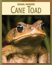 Book Cover for Cane Toad by Barbara A Somervill