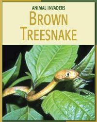 Book Cover for Brown Treesnake by Barbara A Somervill