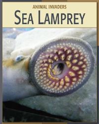 Book Cover for Sea Lamprey by Barbara A Somervill