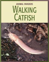 Book Cover for Walking Catfish by Susan Heinrichs Gray