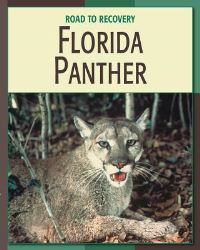 Book Cover for Florida Panther by Barbara A Somervill