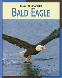 Book Cover for Bald Eagle by Susan Heinrichs Gray