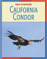 Book Cover for California Condor by Susan Heinrichs Gray